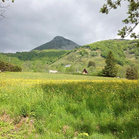 Chalet Avec Vue Panoramique Sur Le Plomb Du Cantal Villa Saint-Jacques-des-Blats Esterno foto