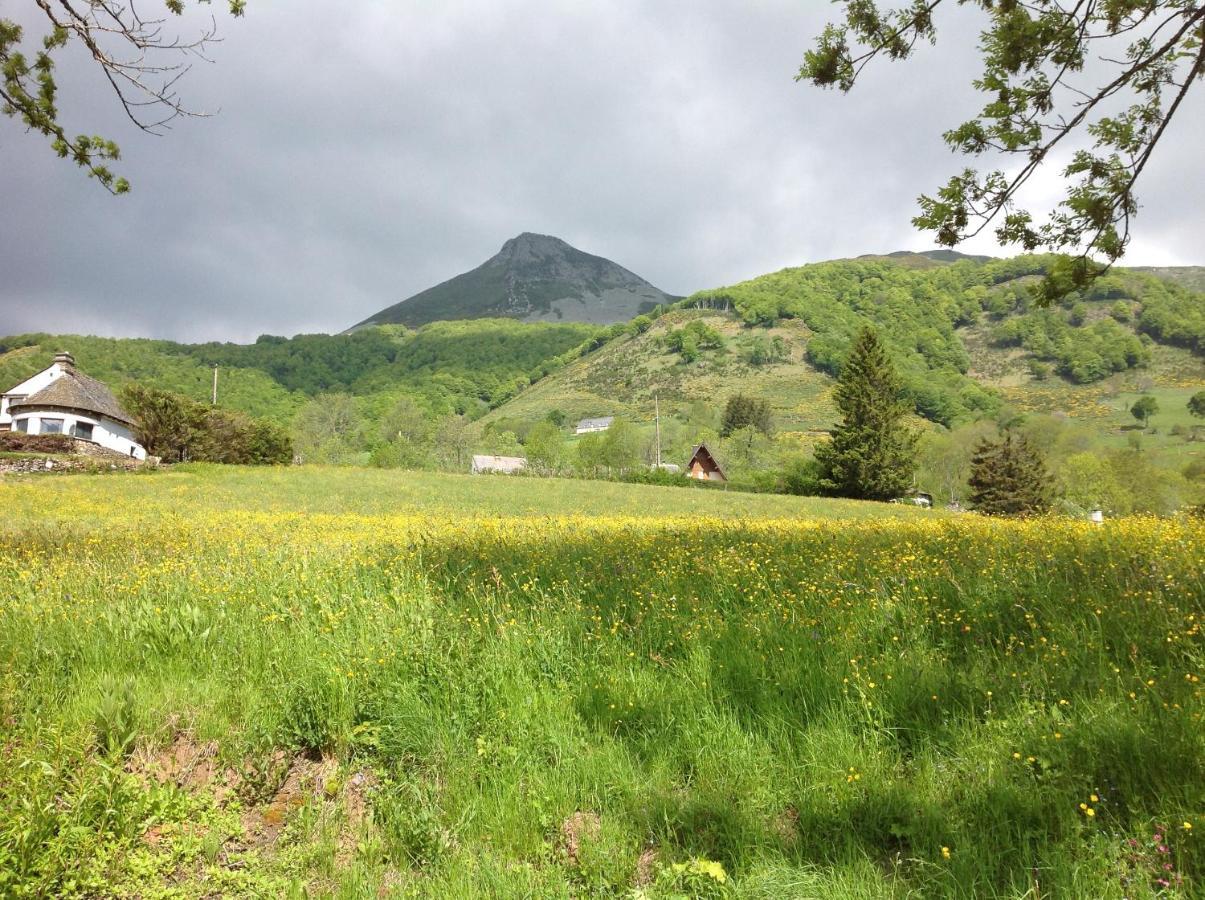 Chalet Avec Vue Panoramique Sur Le Plomb Du Cantal Villa Saint-Jacques-des-Blats Esterno foto