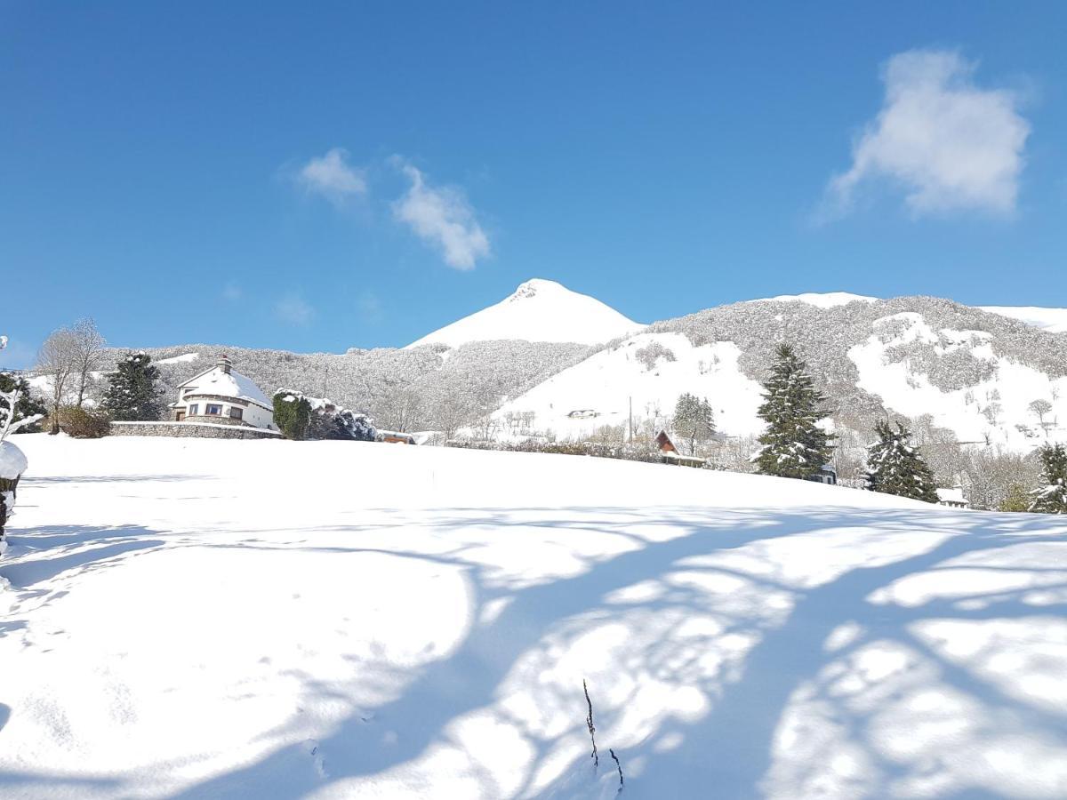 Chalet Avec Vue Panoramique Sur Le Plomb Du Cantal Villa Saint-Jacques-des-Blats Esterno foto