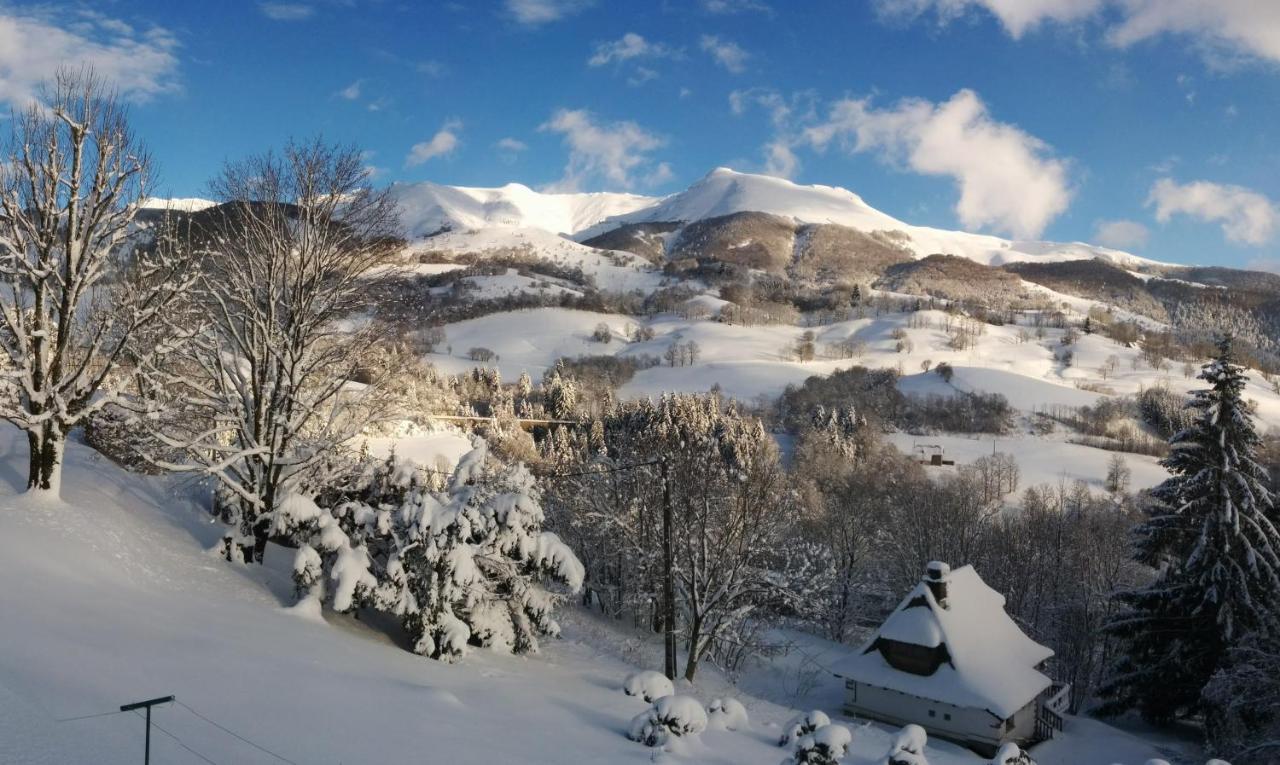 Chalet Avec Vue Panoramique Sur Le Plomb Du Cantal Villa Saint-Jacques-des-Blats Esterno foto