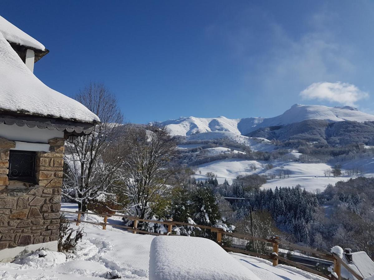 Chalet Avec Vue Panoramique Sur Le Plomb Du Cantal Villa Saint-Jacques-des-Blats Esterno foto