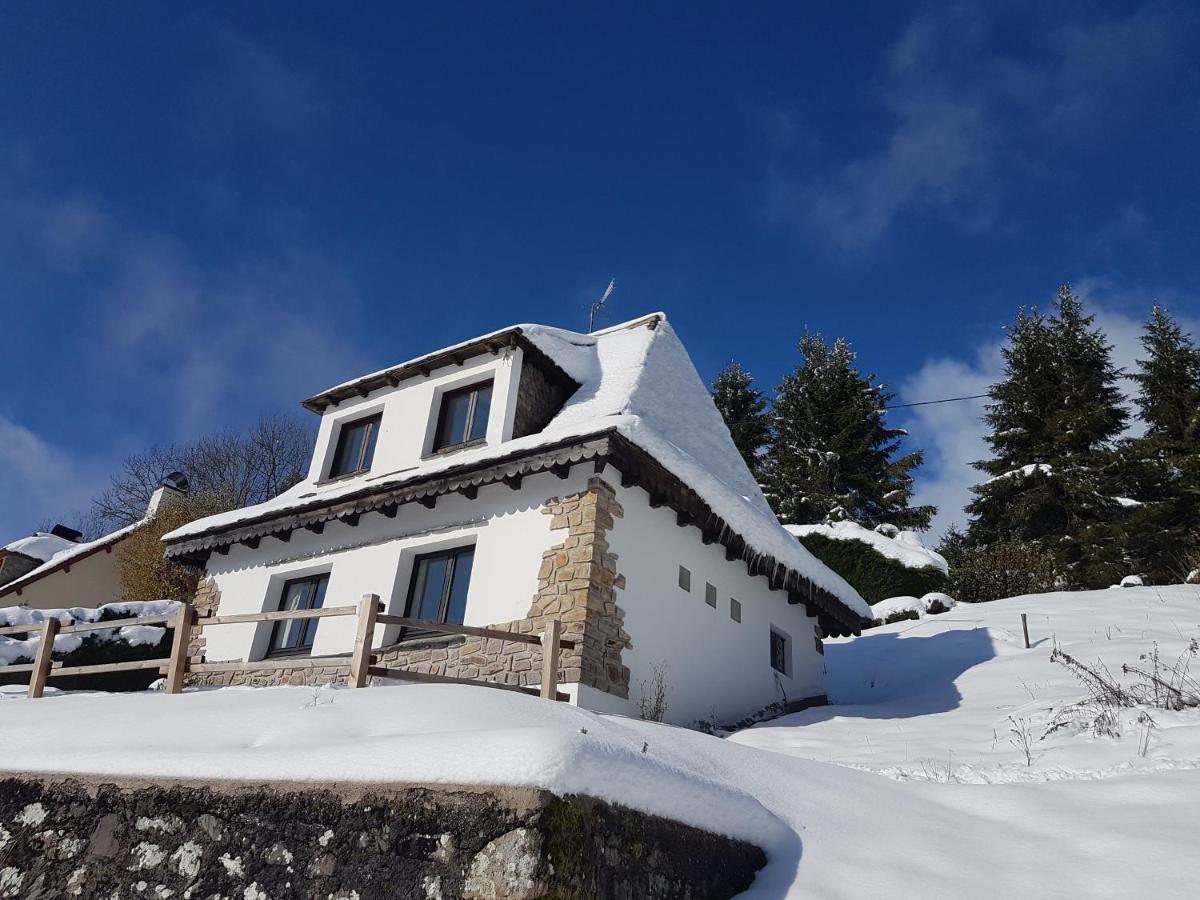 Chalet Avec Vue Panoramique Sur Le Plomb Du Cantal Villa Saint-Jacques-des-Blats Esterno foto