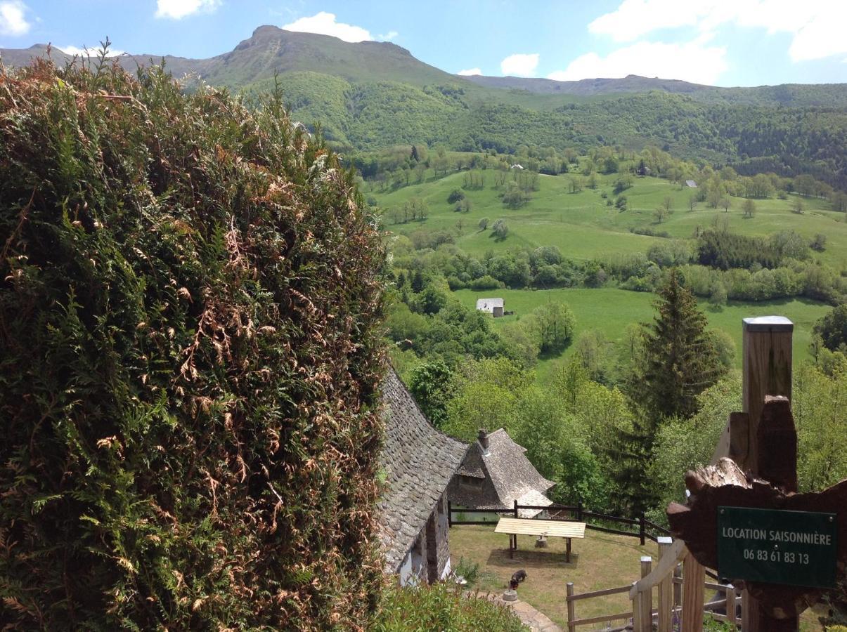 Chalet Avec Vue Panoramique Sur Le Plomb Du Cantal Villa Saint-Jacques-des-Blats Esterno foto