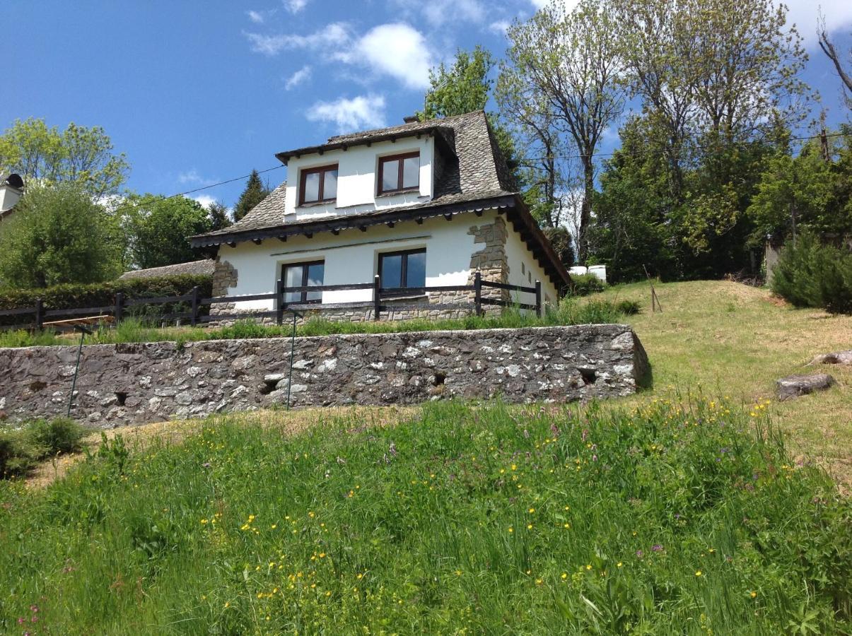 Chalet Avec Vue Panoramique Sur Le Plomb Du Cantal Villa Saint-Jacques-des-Blats Esterno foto