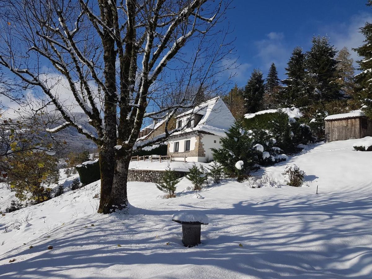 Chalet Avec Vue Panoramique Sur Le Plomb Du Cantal Villa Saint-Jacques-des-Blats Esterno foto