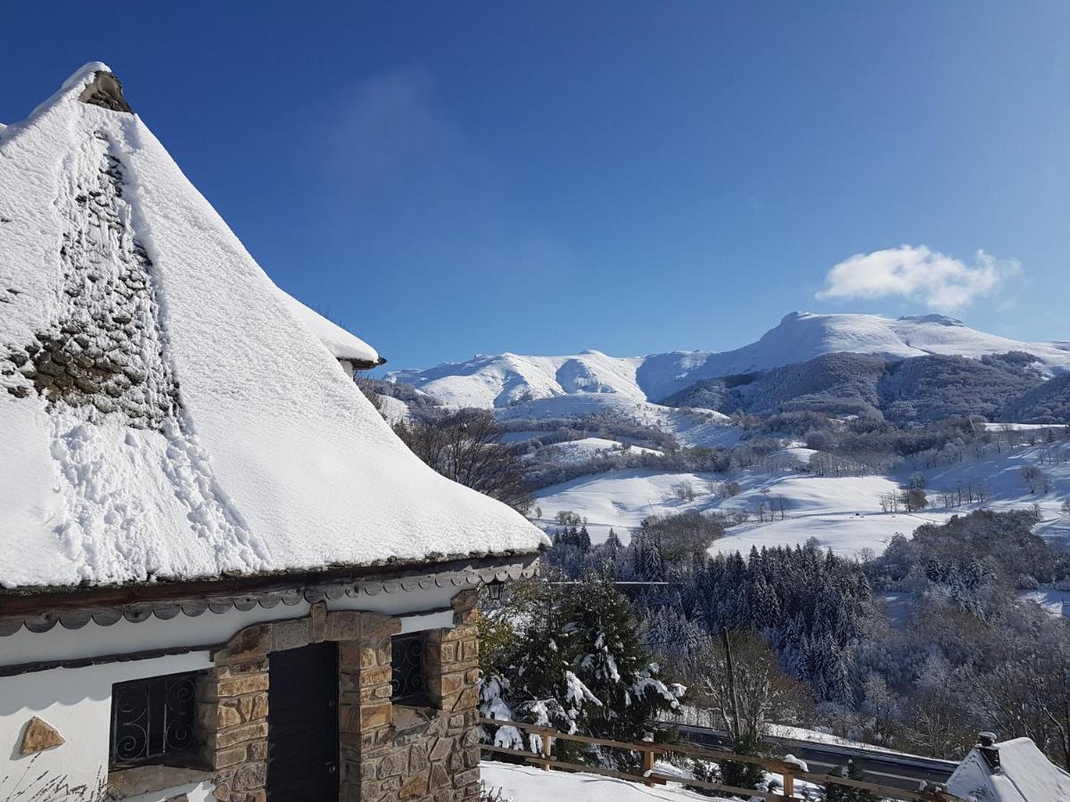 Chalet Avec Vue Panoramique Sur Le Plomb Du Cantal Villa Saint-Jacques-des-Blats Esterno foto