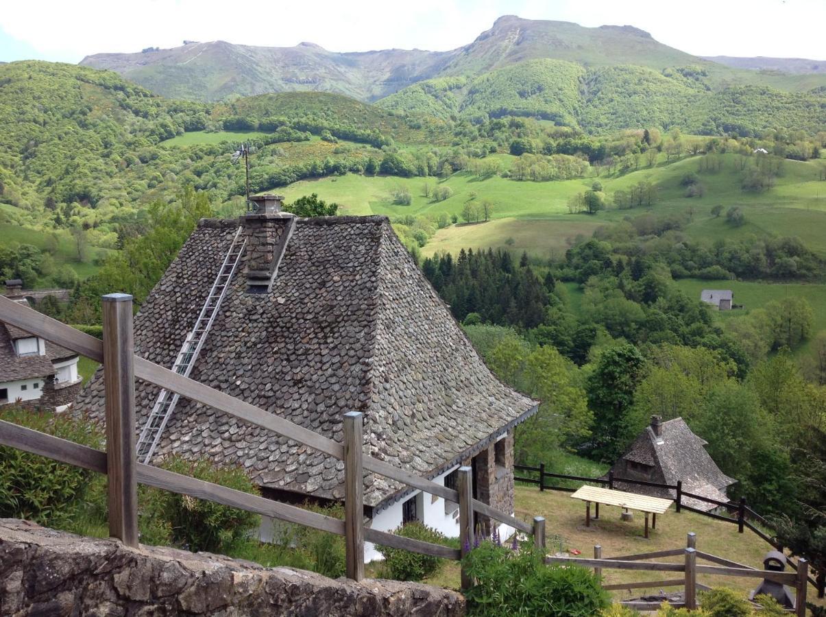 Chalet Avec Vue Panoramique Sur Le Plomb Du Cantal Villa Saint-Jacques-des-Blats Esterno foto